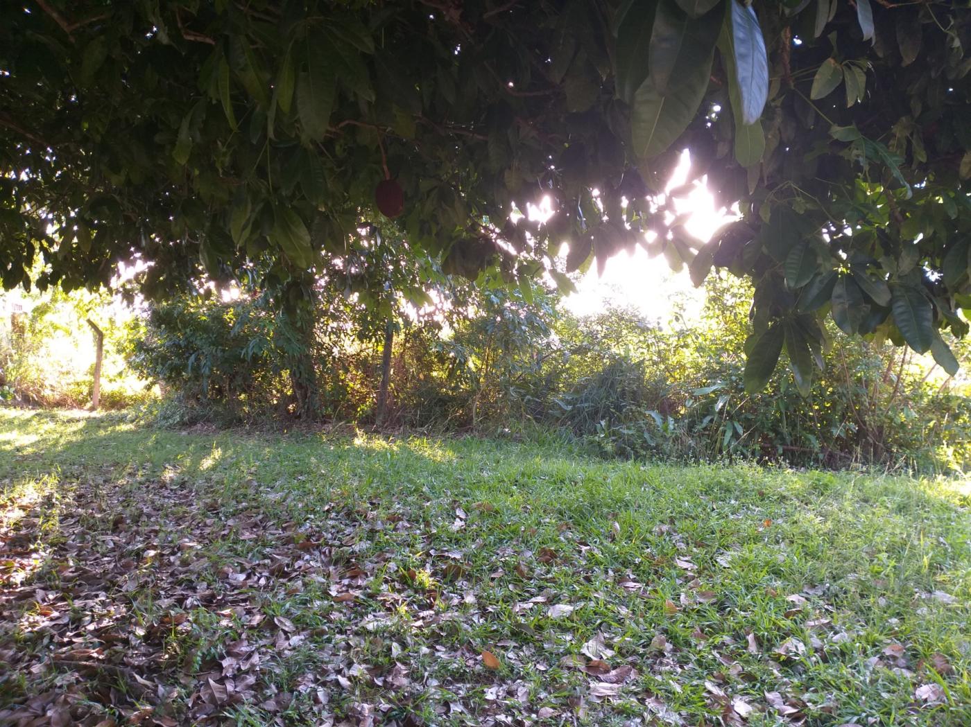 Terreno à venda com 1100m² de terreno no Piatã, Salvador (BA) — foto 17 de 22