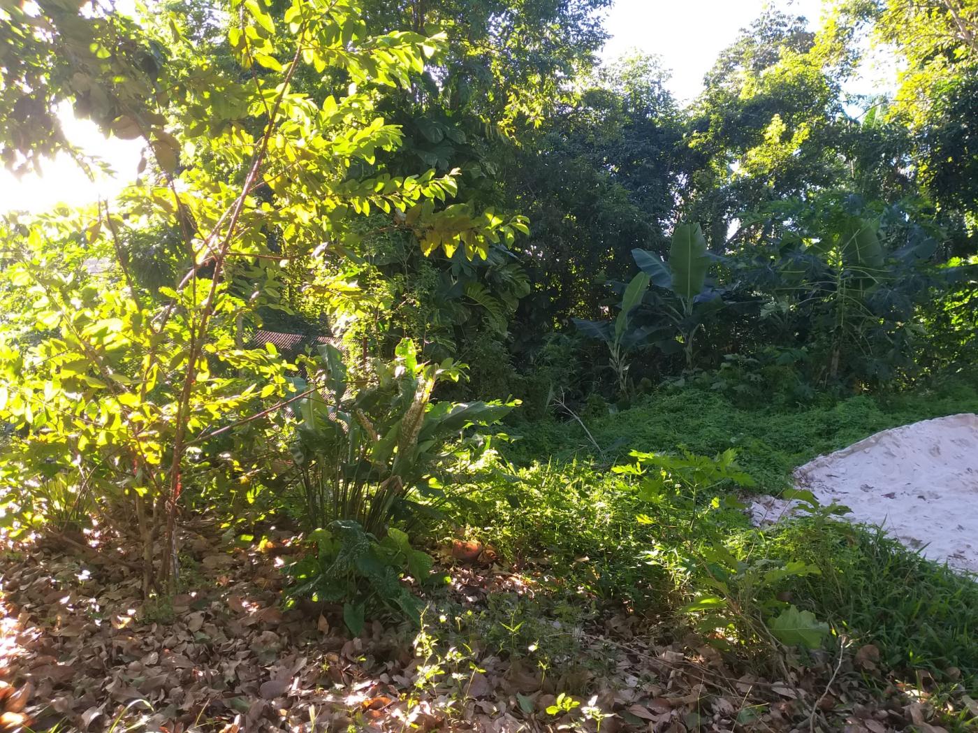 Terreno à venda com 1100m² de terreno no Piatã, Salvador (BA) — foto 21 de 22