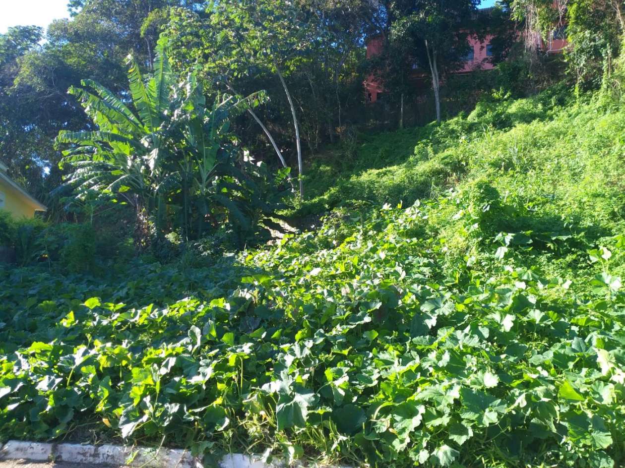 Terreno à venda com 684m² de terreno no Piatã, Salvador (BA) — foto 13 de 22