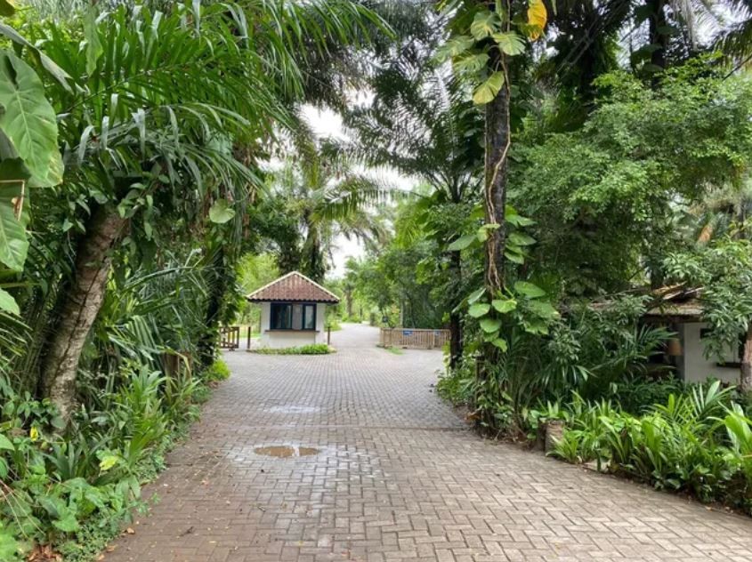 Terreno à venda com 450m² de terreno no Praia Do Forte, Mata de São João (BA) — foto 2 de 10
